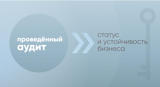 Проведенный аудит — статус и устойчивость бизнеса
