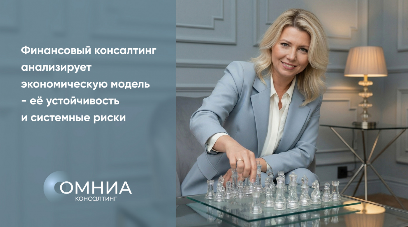 Финансовый консалтинг анализирует экономическую модель - её устойчивость 
и системные риски