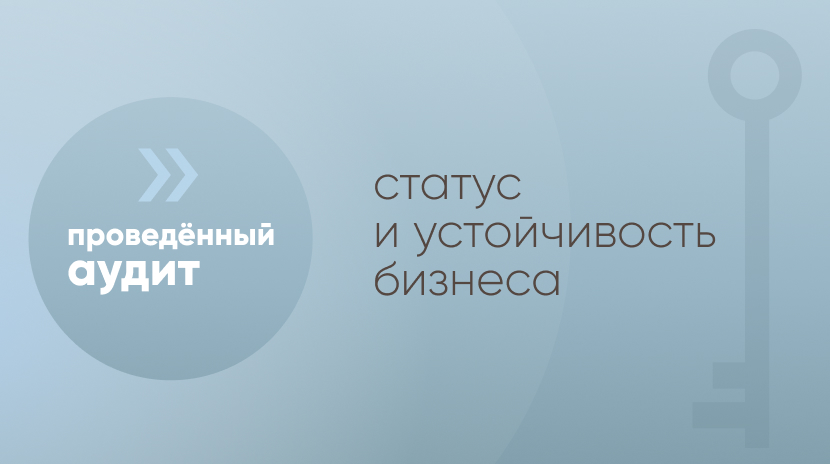 Проведенный аудит — статус и устойчивость бизнеса